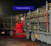 Peste 35 de metri cubi de bușteni, transportați fără documente legale, confiscați de polițiștii din Borod