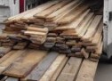 Săcueni: Amendă de 5.000 de lei pentru material lemnos expediat fără documente justificative