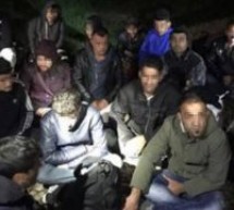 21 cetățeni din Iran și Irak care încercau să treacă ilegal frontiera, depistați de polițiștii de frontieră de la S.P.F Borș