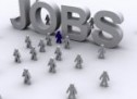 306 locuri de muncă vacante în județul Bihor