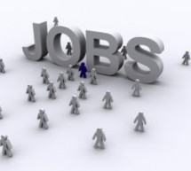 306 locuri de muncă vacante în județul Bihor
