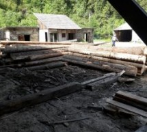 Sudrigiu: Cherestea și lemne de foc fără documente justificative, confiscate de polițiștii bihoreni