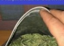 Cannabis descoperit de polițiștii din Oradea, în urma unei percheziții