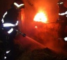25 de intervenții desfășurate de pompierii bihoreni într-o singură zi