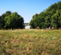 Un parc de peste 1,5 hectare va fi amenajat în Cartierul Tineretului din Oradea