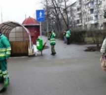 În Oradea, campania de igienizare a domeniului public continuă cu zona 4 a orașului