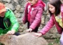 Ziua părinților adoptivi, la Zoo Oradea – capibara, cel mai adoptat animal