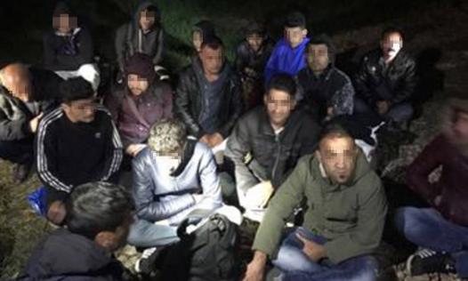 21 cetățeni din Iran și Irak care încercau să treacă ilegal frontiera, depistați de polițiștii de frontieră de la S.P.F Borș