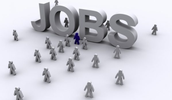237 locuri de muncă vacante în județul Bihor