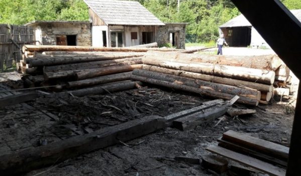 Sudrigiu: Cherestea și lemne de foc fără documente justificative, confiscate de polițiștii bihoreni