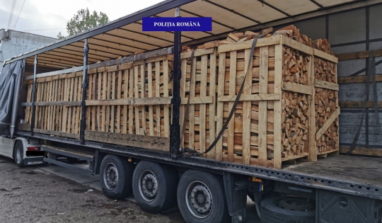 350 de metri cubi de lemne de foc și cherestea de rășinoase, expediați fără documente legale, confiscați valoric de polițiștii bihoreni