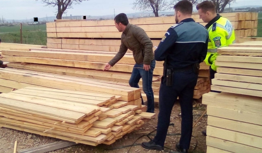 Peste 47 de metri cubi de lemne de foc și cherestea de rășinoase fără proveniență legală, în valoare de 37.181 de lei, confiscați de polițiștii bihoreni