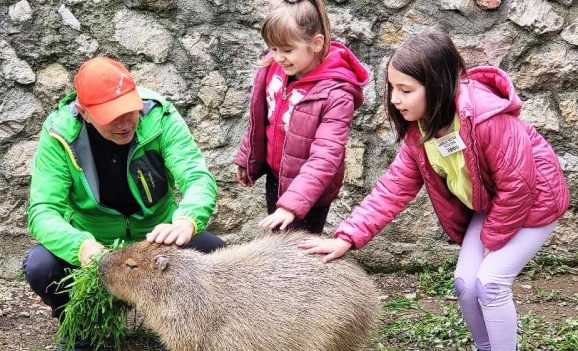Ziua părinților adoptivi, la Zoo Oradea – capibara, cel mai adoptat animal
